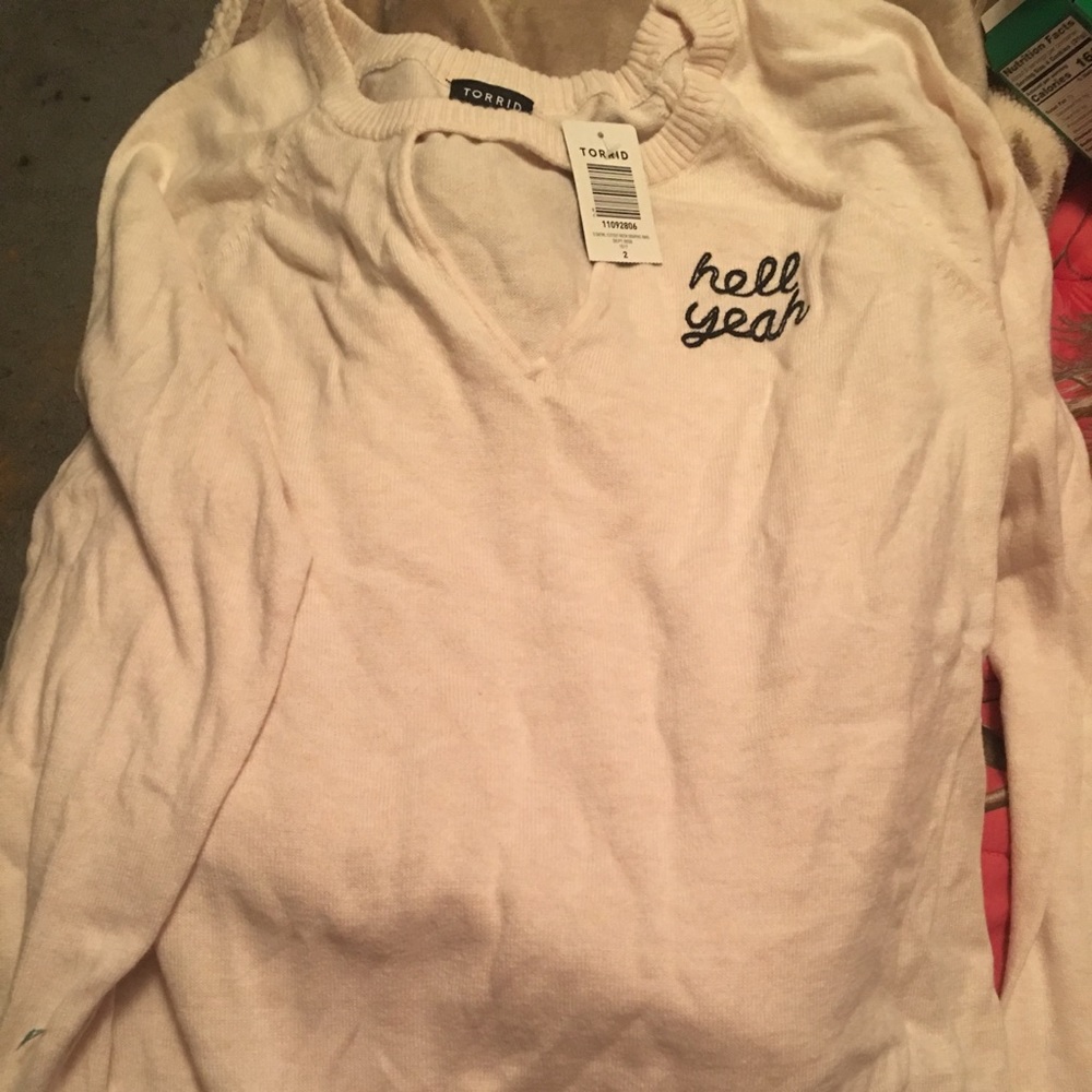 Light pink Torrid sweater
